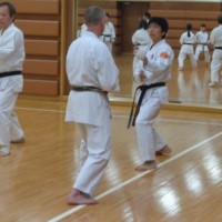 Kumite Training