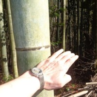 Training einmal anders